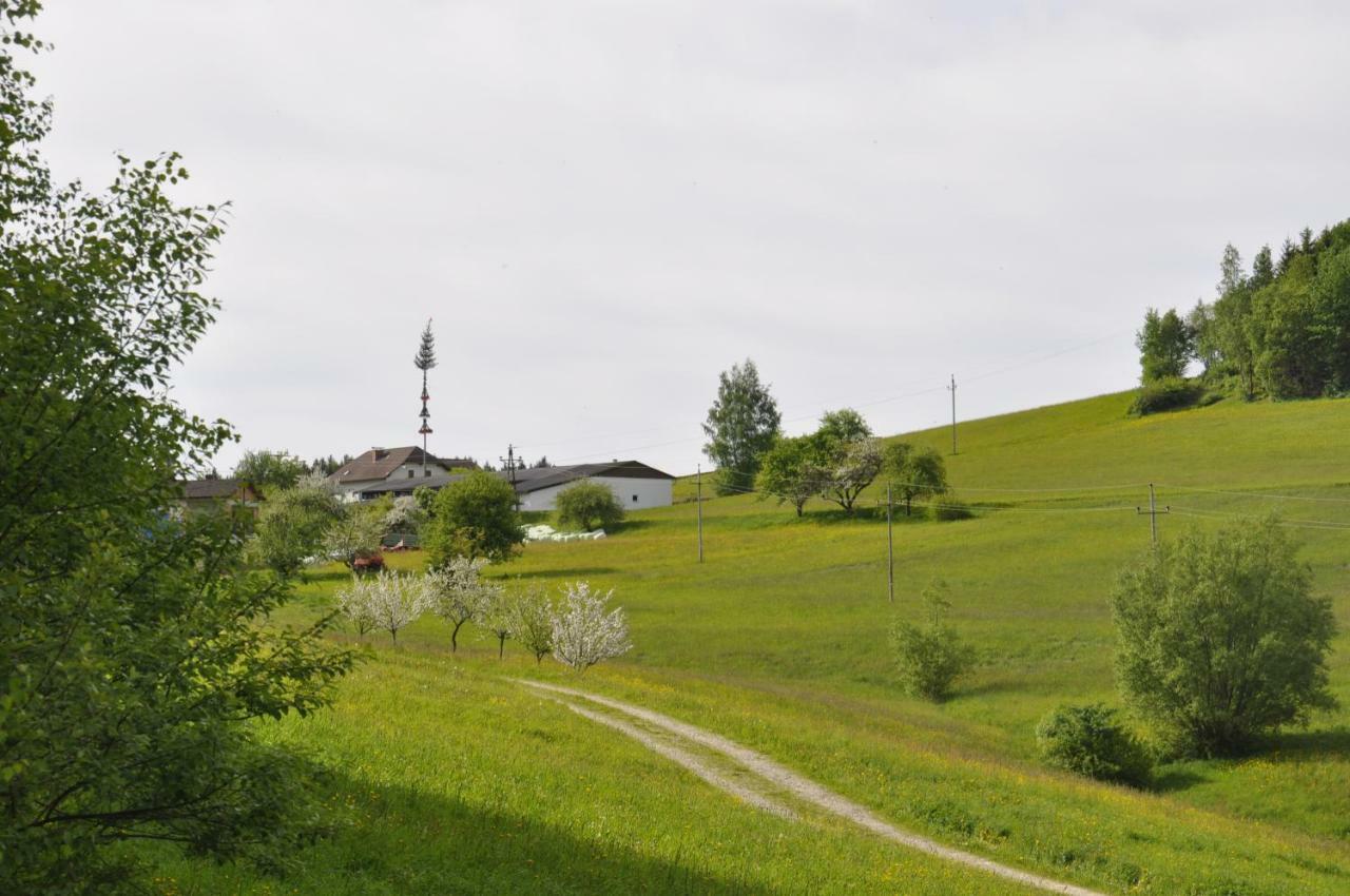 Ferienwohnung Hinterdorfer Unterweissenbach エクステリア 写真