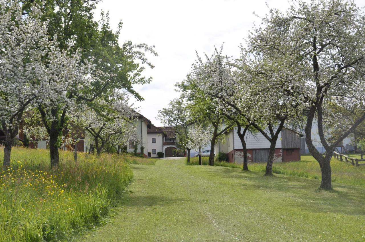 Ferienwohnung Hinterdorfer Unterweissenbach エクステリア 写真